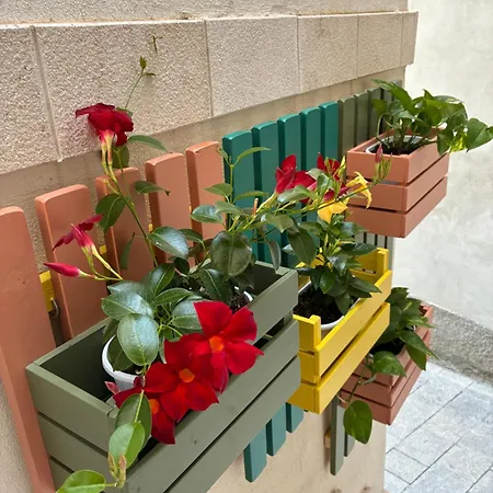 Casa de hóspedes Oikos Papasidero