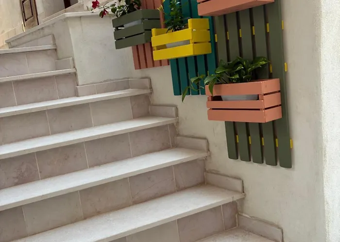 Oikos Casa de hóspedes Papasidero