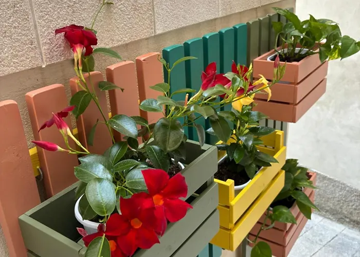 Casa de hóspedes Oikos Papasidero